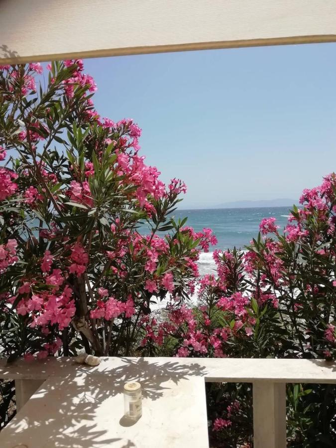 "Sea Front" Rose'S House Villa Kardhianí Buitenkant foto