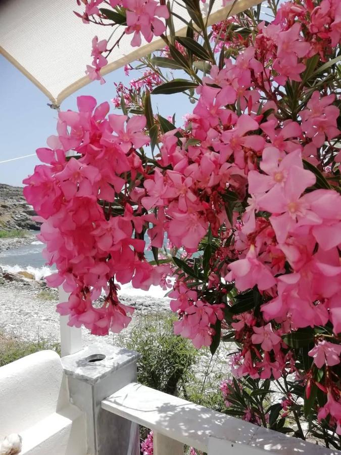 "Sea Front" Rose'S House Villa Kardhianí Buitenkant foto